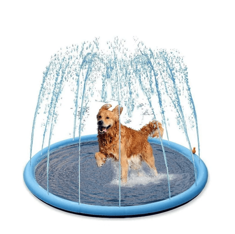 Alfombra de juego con aspersor para perros: ¡para refrescarse y jugar en el calor del verano!