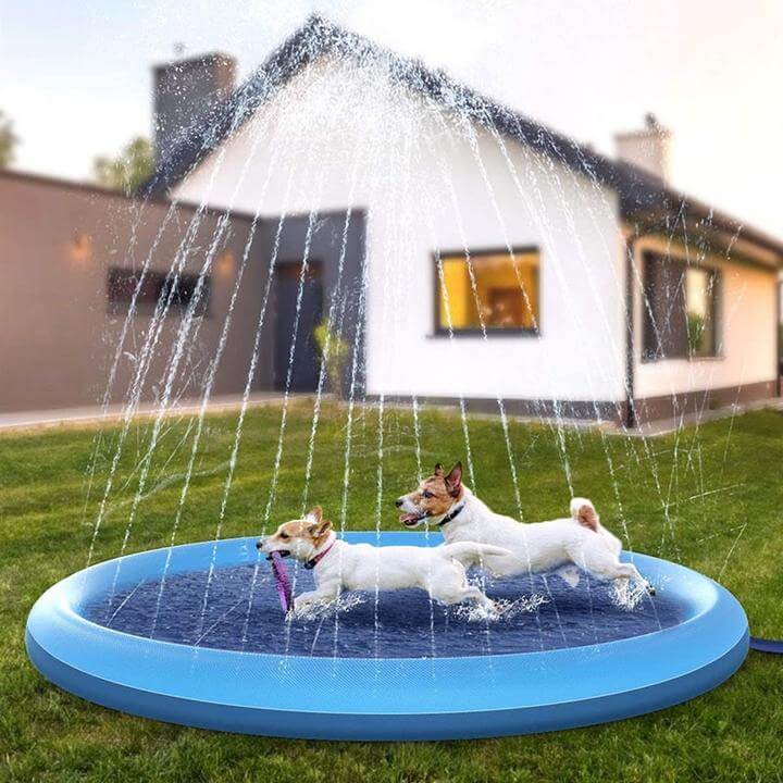 Alfombra de juego con aspersor para perros: ¡para refrescarse y jugar en el calor del verano!