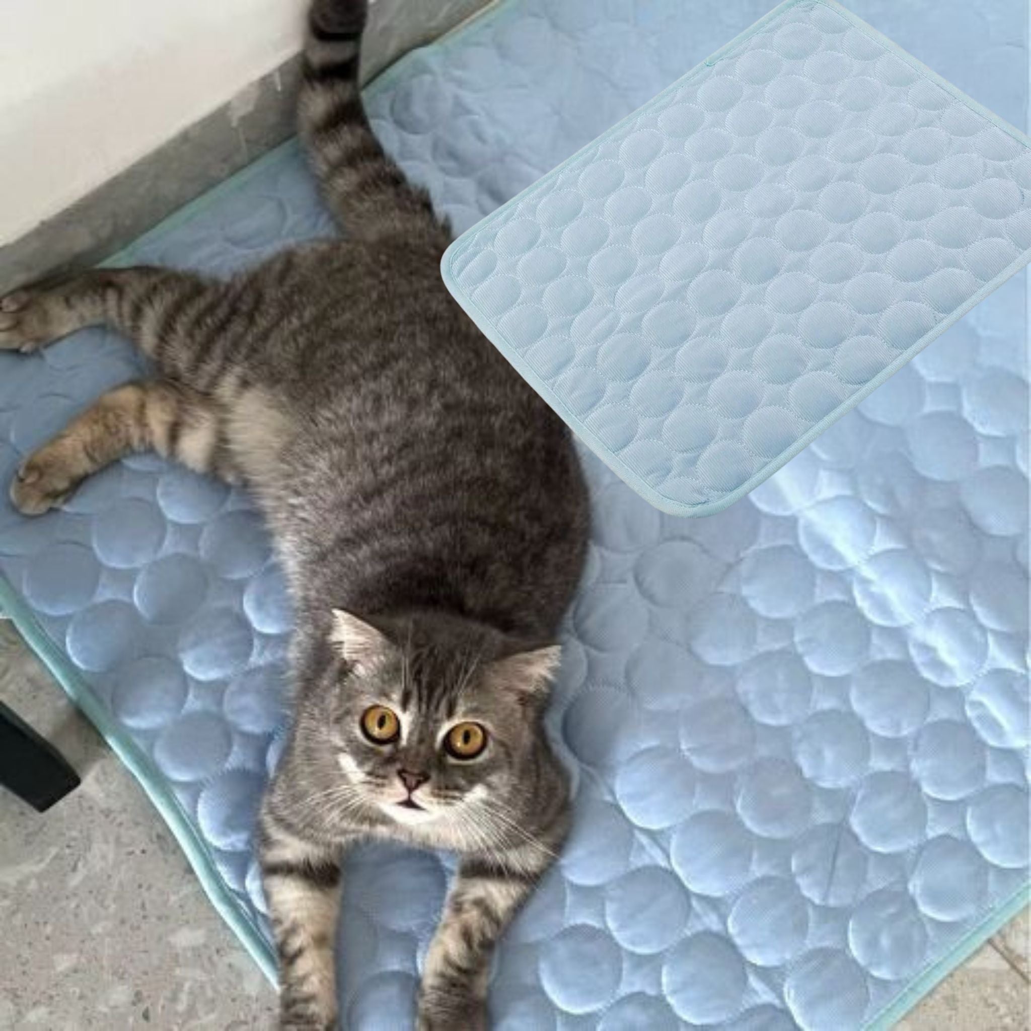 Alfombra refrescante para gatos