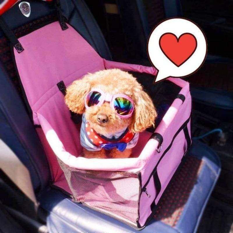 Asiento de seguridad de coche para mascotas