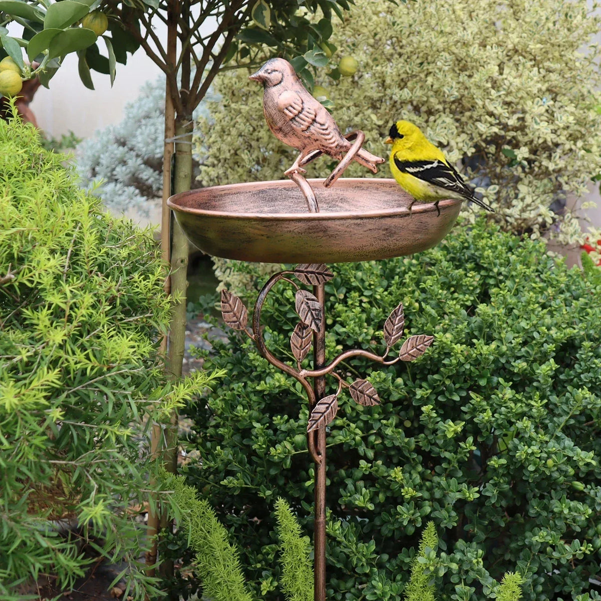 Bebedero para pájaros de jardín con cuenco decorativo y estaca estable