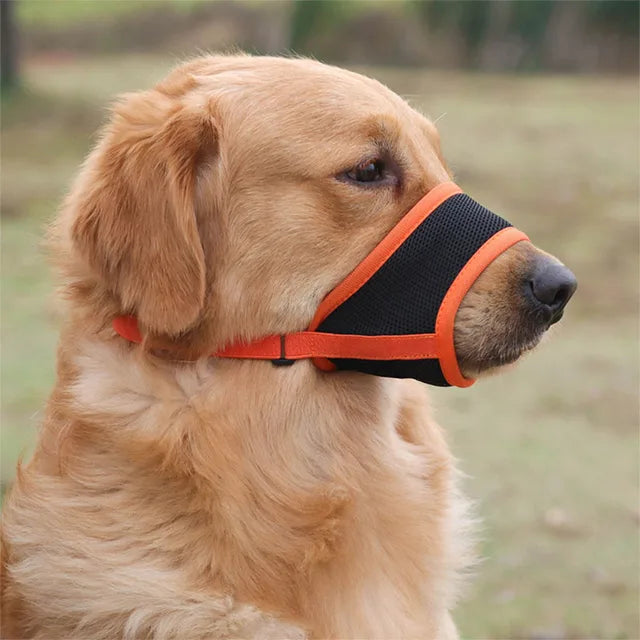 Bozal para Perros para Prevenir Ladridos y Mordeduras