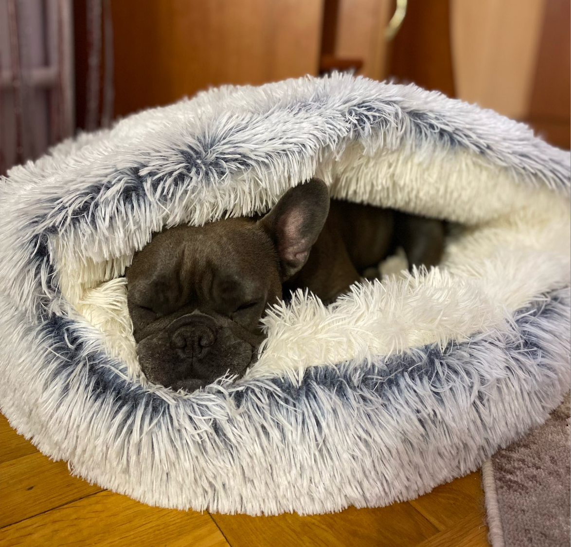Cama Cómoda para Perro Tipo Cueva con Base Antideslizante – Cojín de Peluche para Perros, Lavable a Máquina