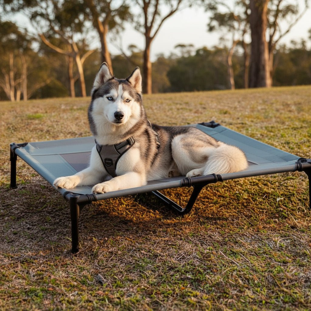 Cama elevada para perros con alfombrilla refrescante y protección UV para uso en exteriores