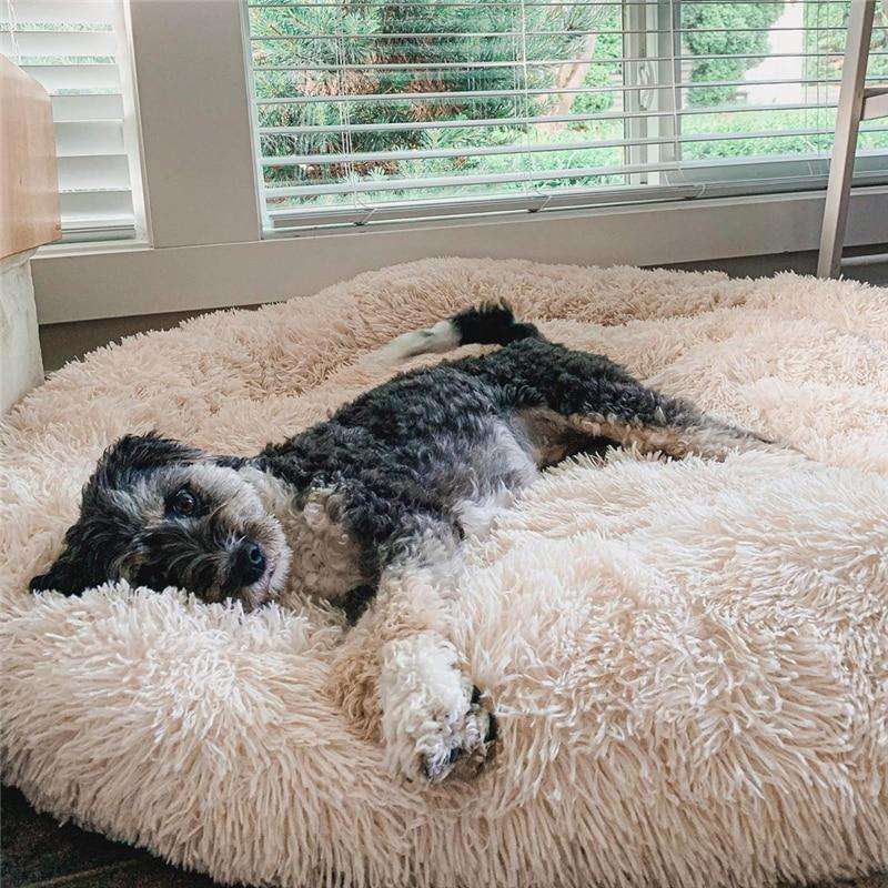 Cama mullida con forma de dona antiansiedad para todo tipo de perros