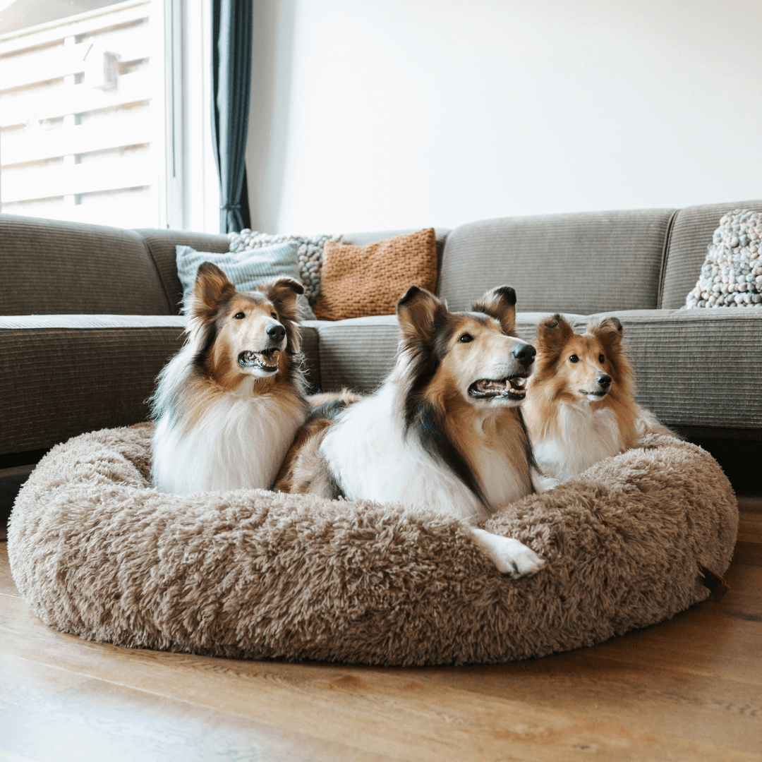 Cama mullida con forma de dona antiansiedad para todo tipo de perros