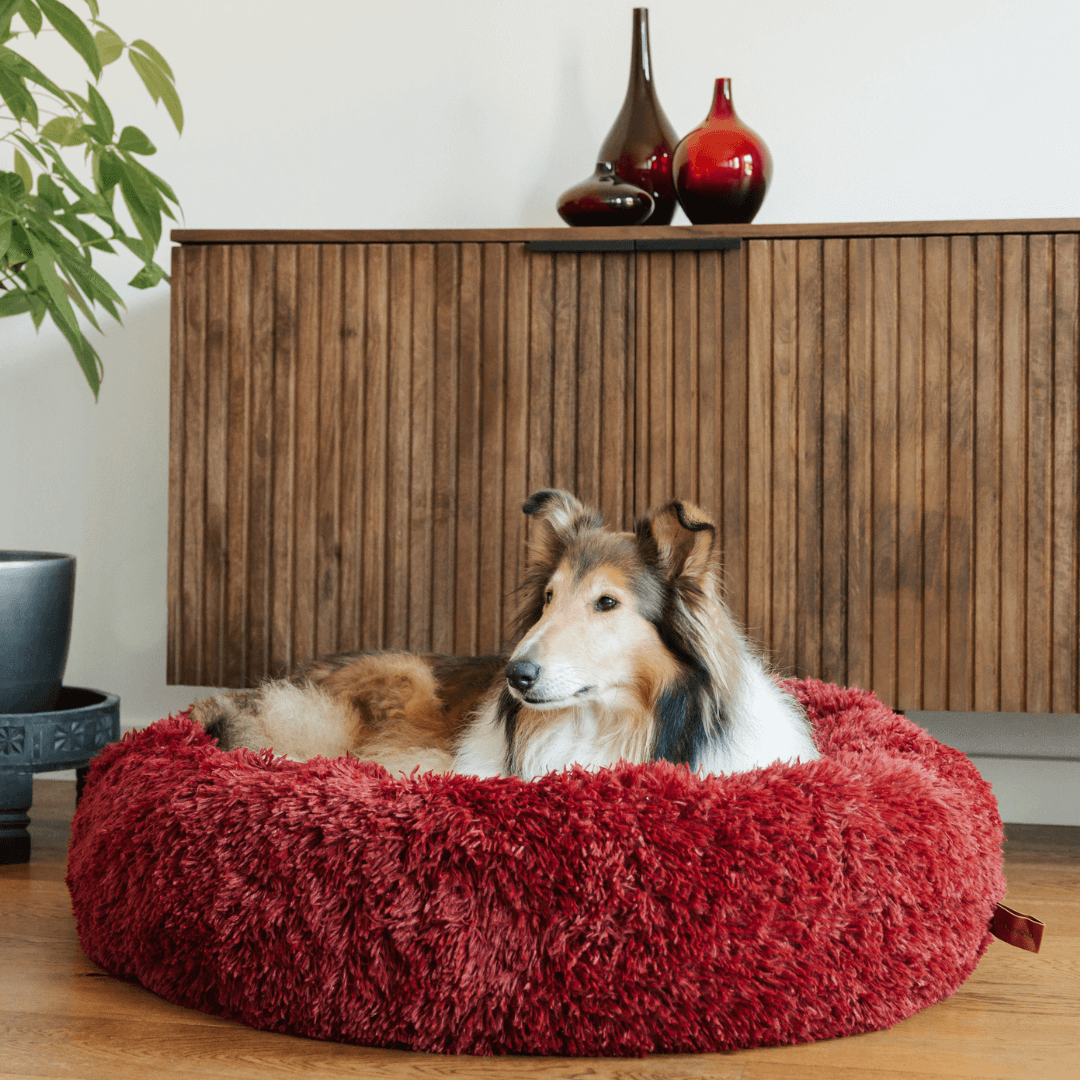 Cama mullida con forma de dona antiansiedad para todo tipo de perros