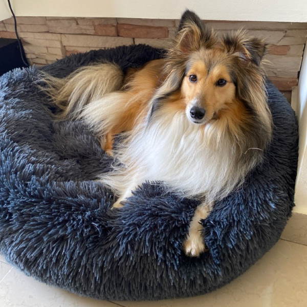 Cama ortopédica para perros con funda lavable: suave y ultra cómoda