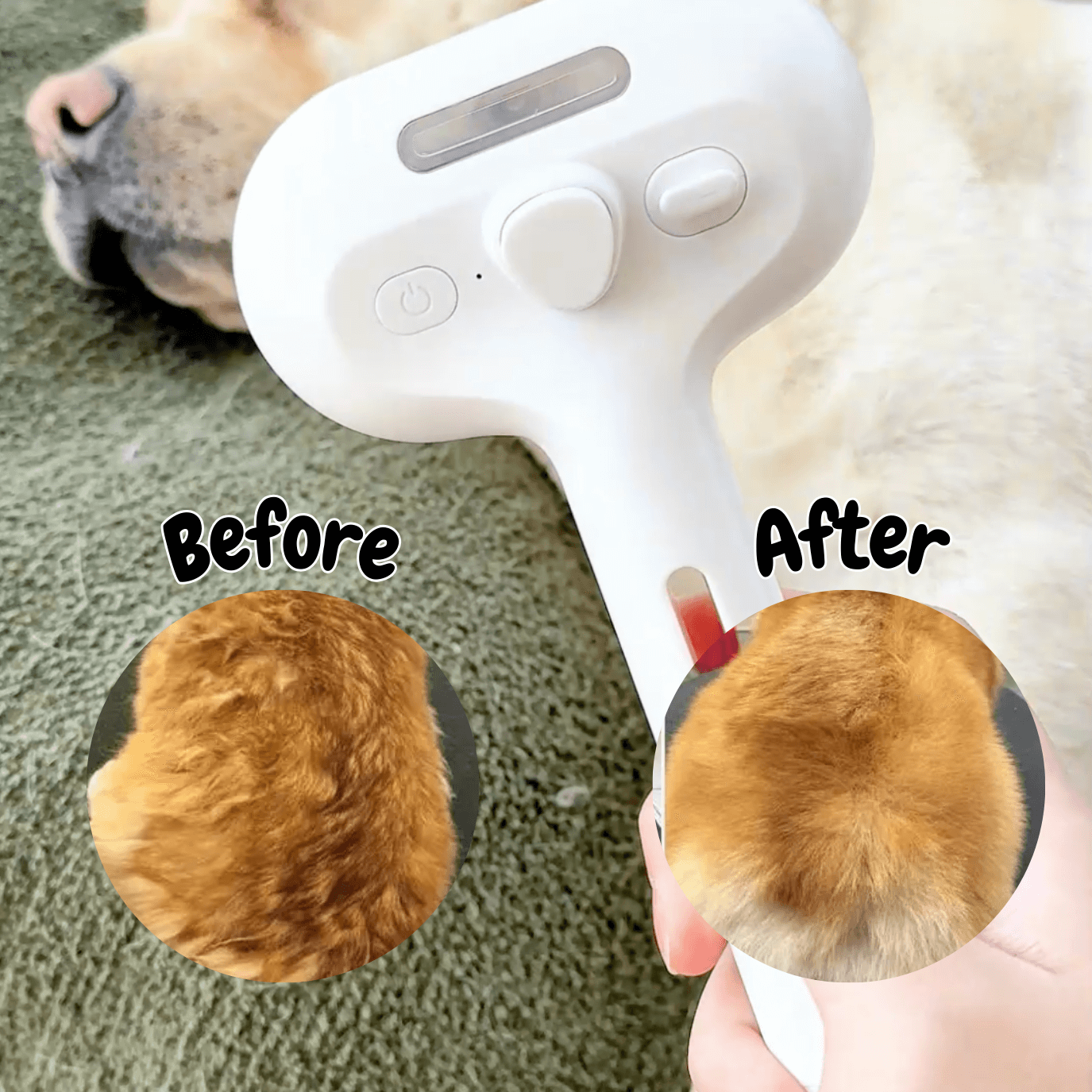 Cepillo de Vapor para Perros