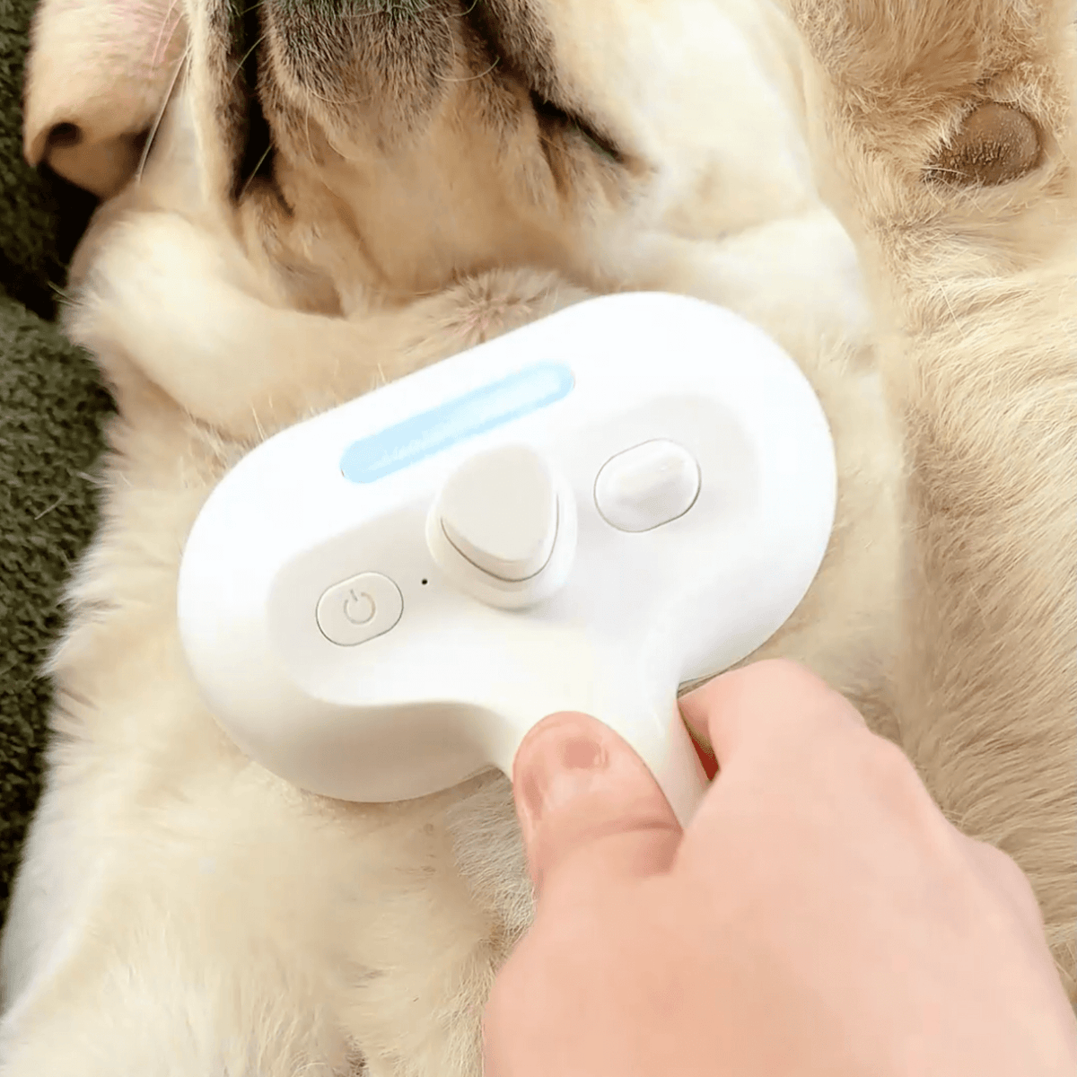Cepillo de Vapor para Perros