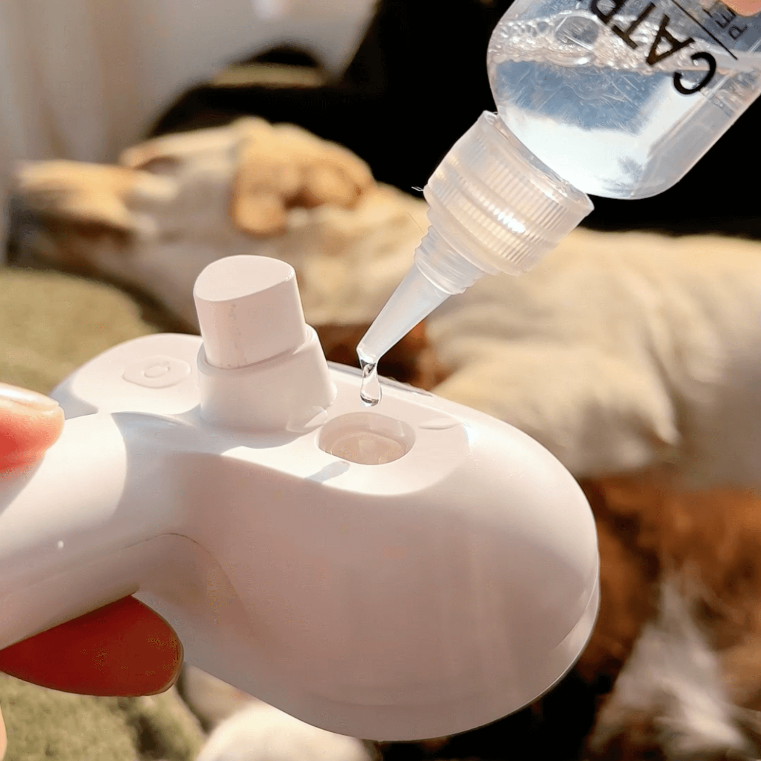 Cepillo de Vapor para Perros