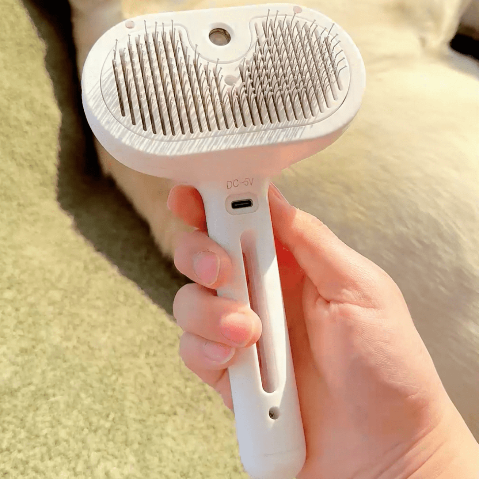 Cepillo de Vapor para Perros