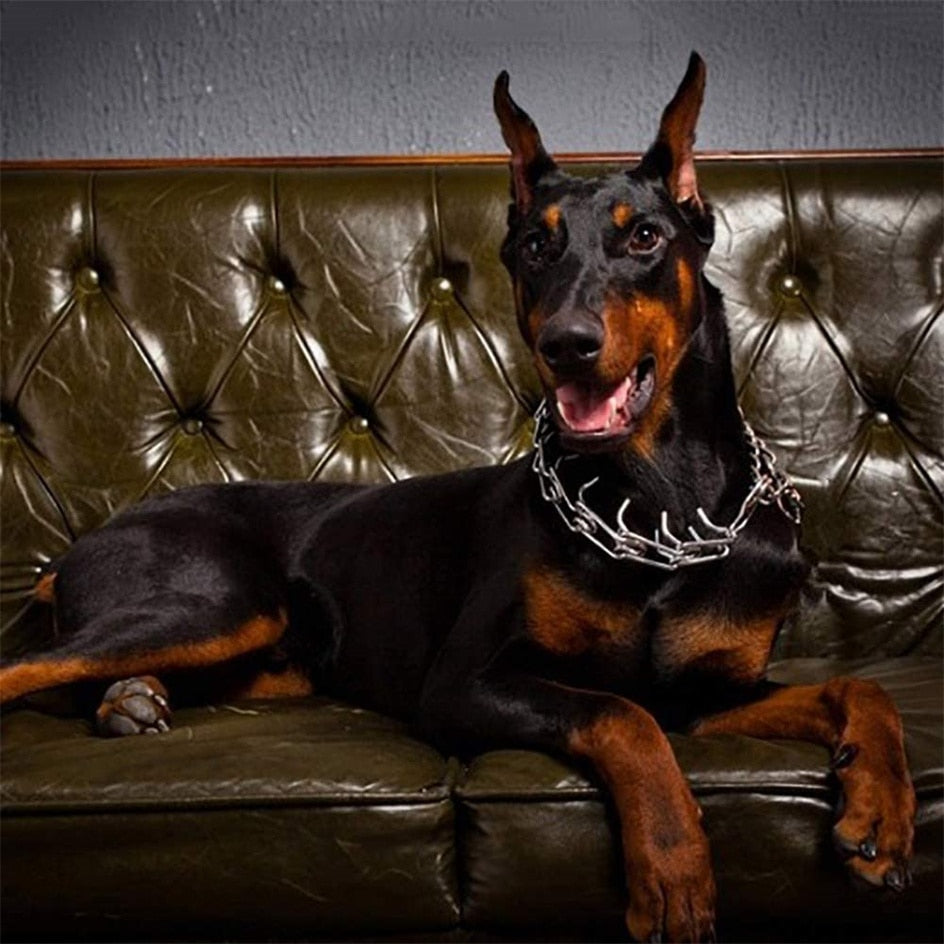 Collar de adiestramiento ajustable para perros con púas engomadas