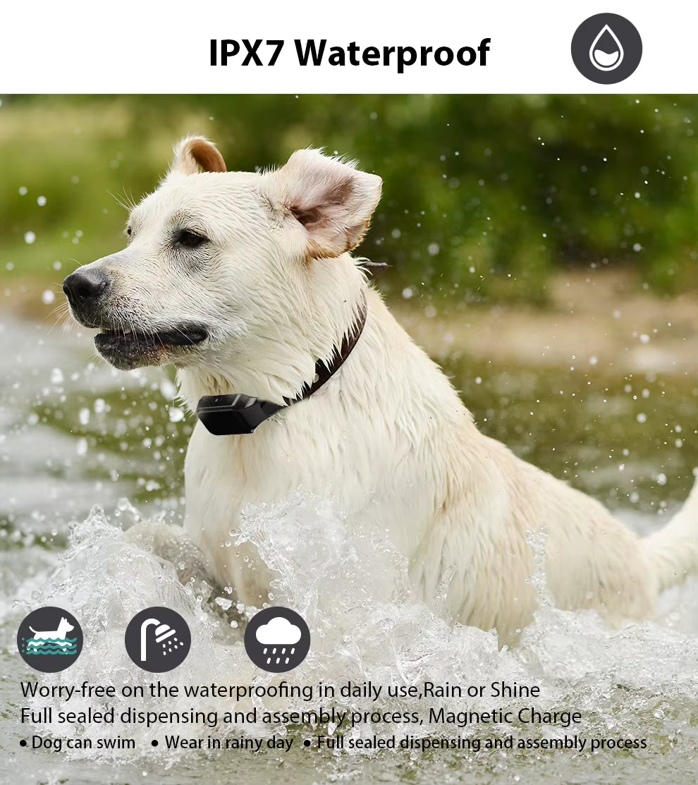Collar de adiestramiento eléctrico para perros – Control remoto de 500 m, impermeable IPX7, modos de descarga, vibración y sonido