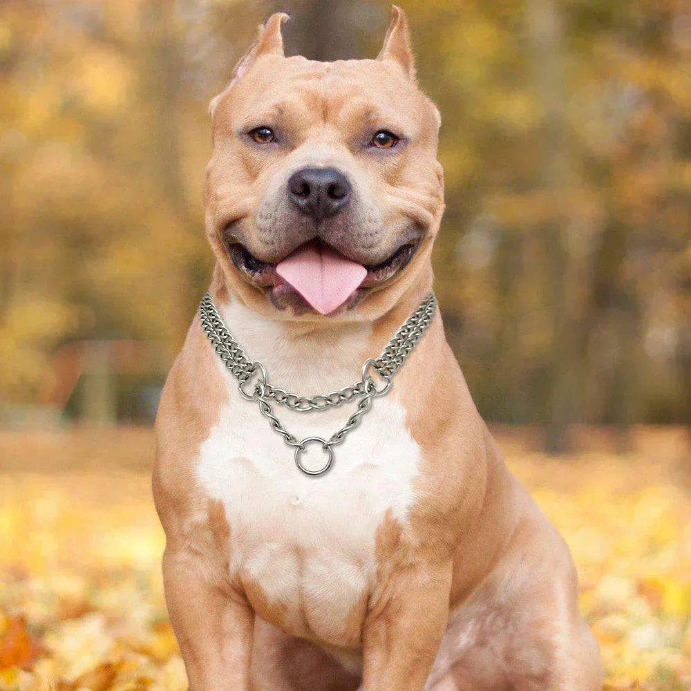 Collar de adiestramiento para perro de acero inoxidable