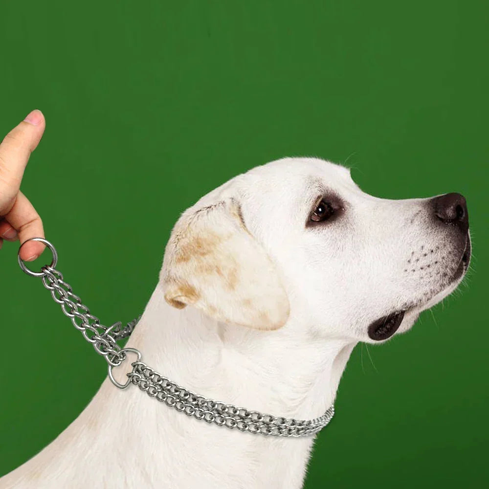 Collar de adiestramiento para perro de acero inoxidable