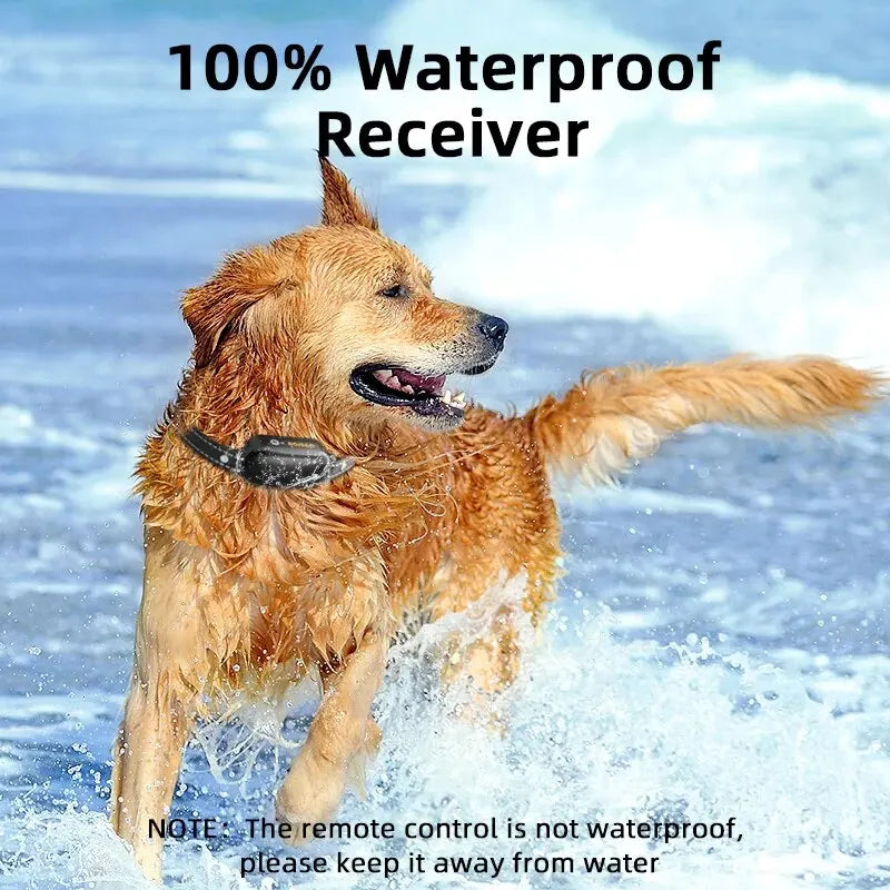 Collar de adiestramiento para perros recargable e impermeable con control remoto