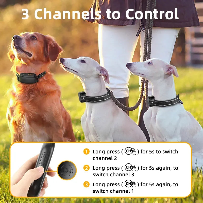 Collar de adiestramiento para perros recargable e impermeable con control remoto