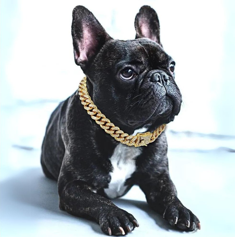 Collar de Cadena Dorado para Perros