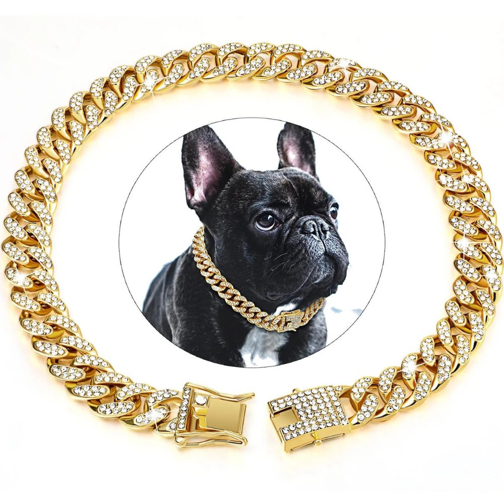 Collar de Cadena Dorado para Perros
