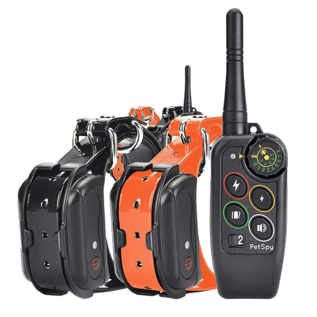 Collar electrónico de adiestramiento para perros y mando a distancia, impermeable y de largo alcance (1000 m)