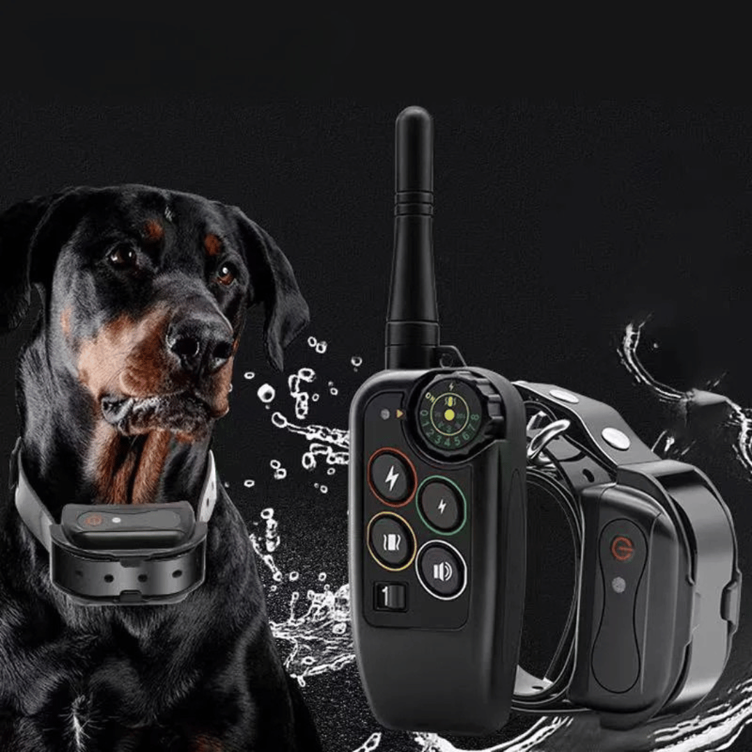 Collar electrónico de adiestramiento para perros y mando a distancia, impermeable y de largo alcance (1000 m)