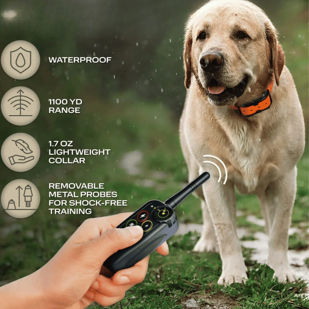 Collar electrónico de adiestramiento para perros y mando a distancia, impermeable y de largo alcance (1000 m)