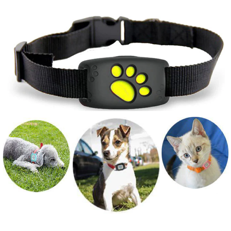 Collar inteligente con GPS para gatos | Rastreo en tiempo real y seguridad