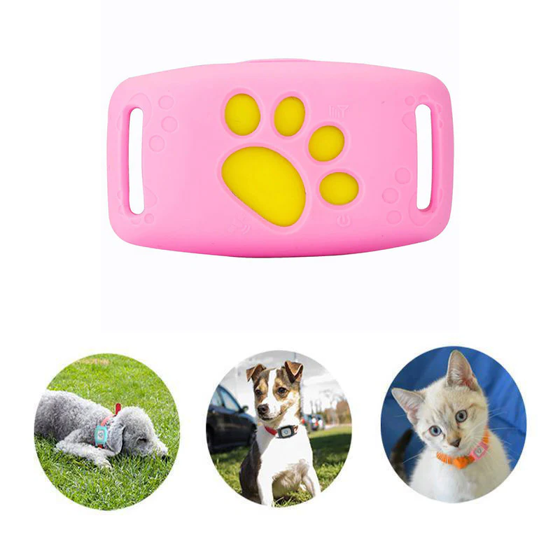 Collar inteligente con GPS para gatos | Rastreo en tiempo real y seguridad