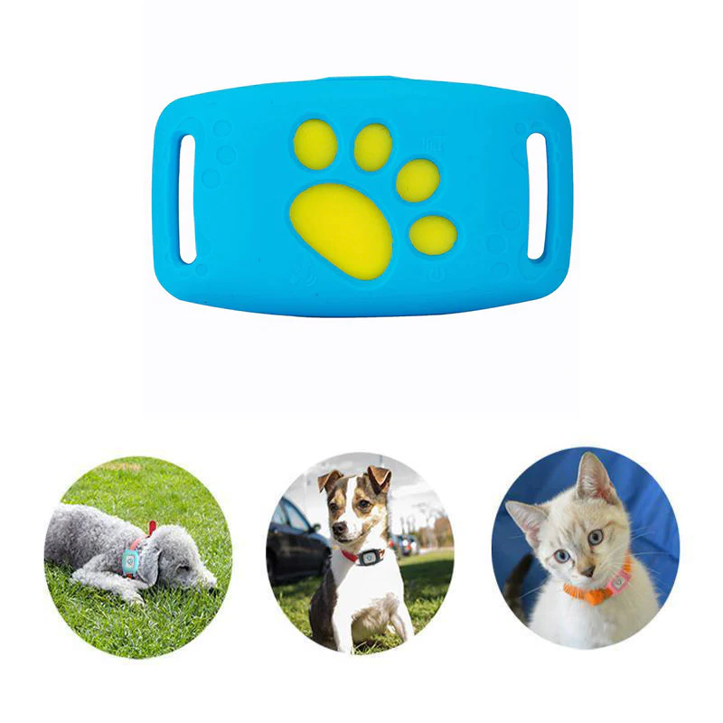 Collar inteligente con GPS para gatos | Rastreo en tiempo real y seguridad