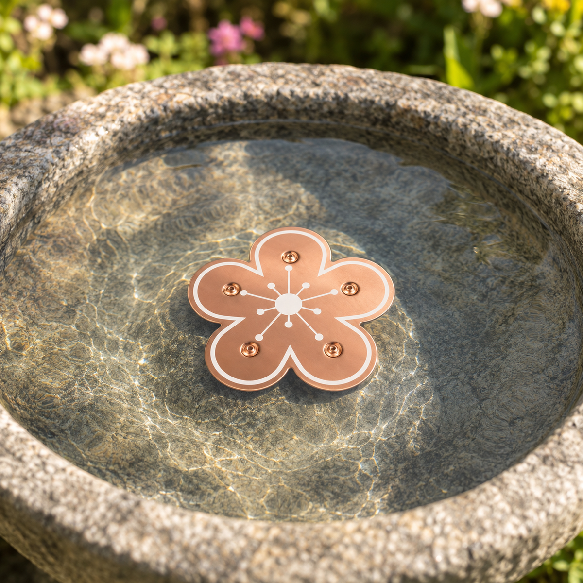 Disco purificador de cobre puro para bebedero de pájaros con diseño de flor para el control de algas