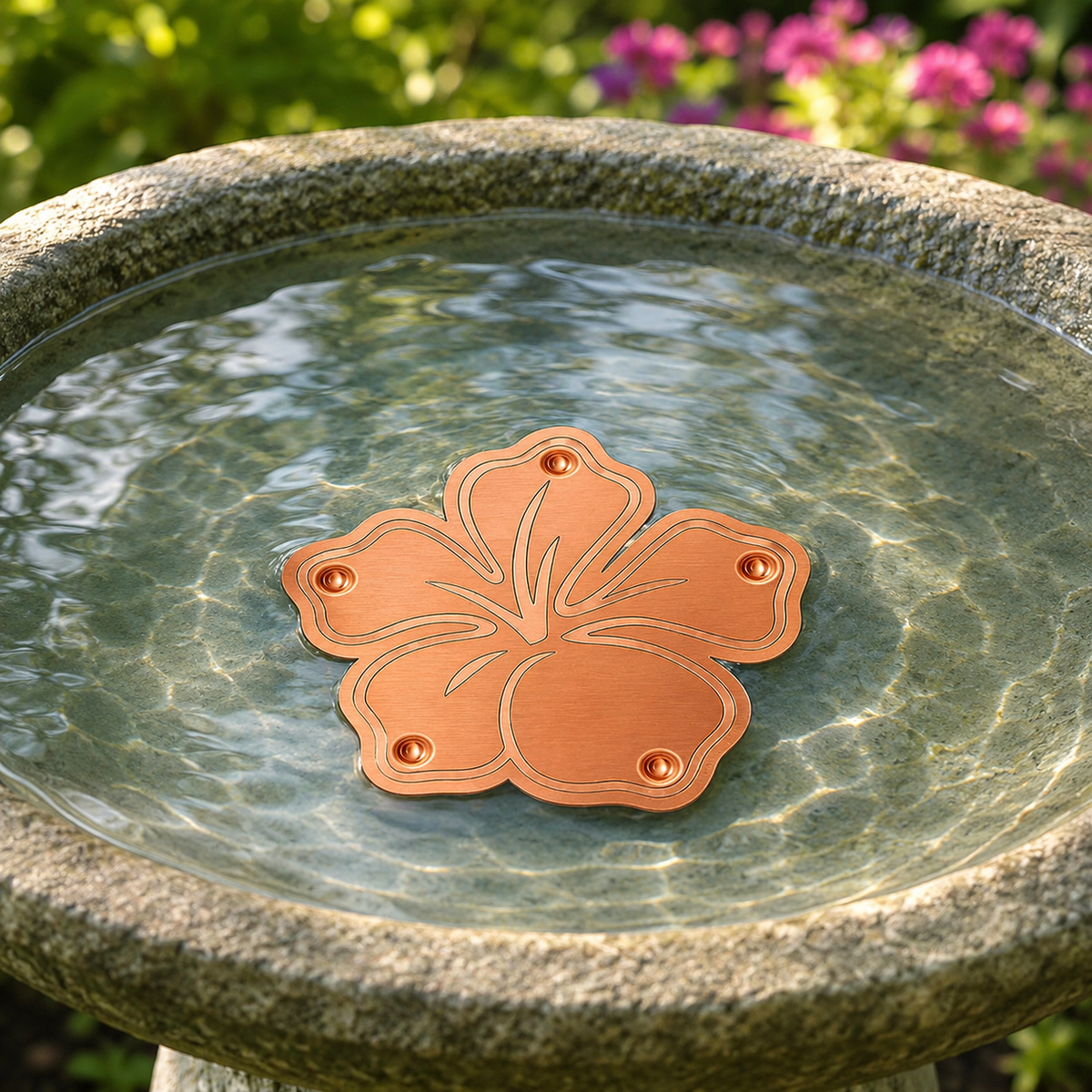 Disco purificador de cobre puro para bebedero de pájaros con diseño de flor para el control de algas