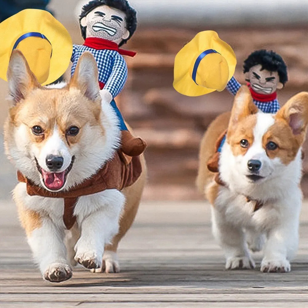 Disfraz de Halloween para perros