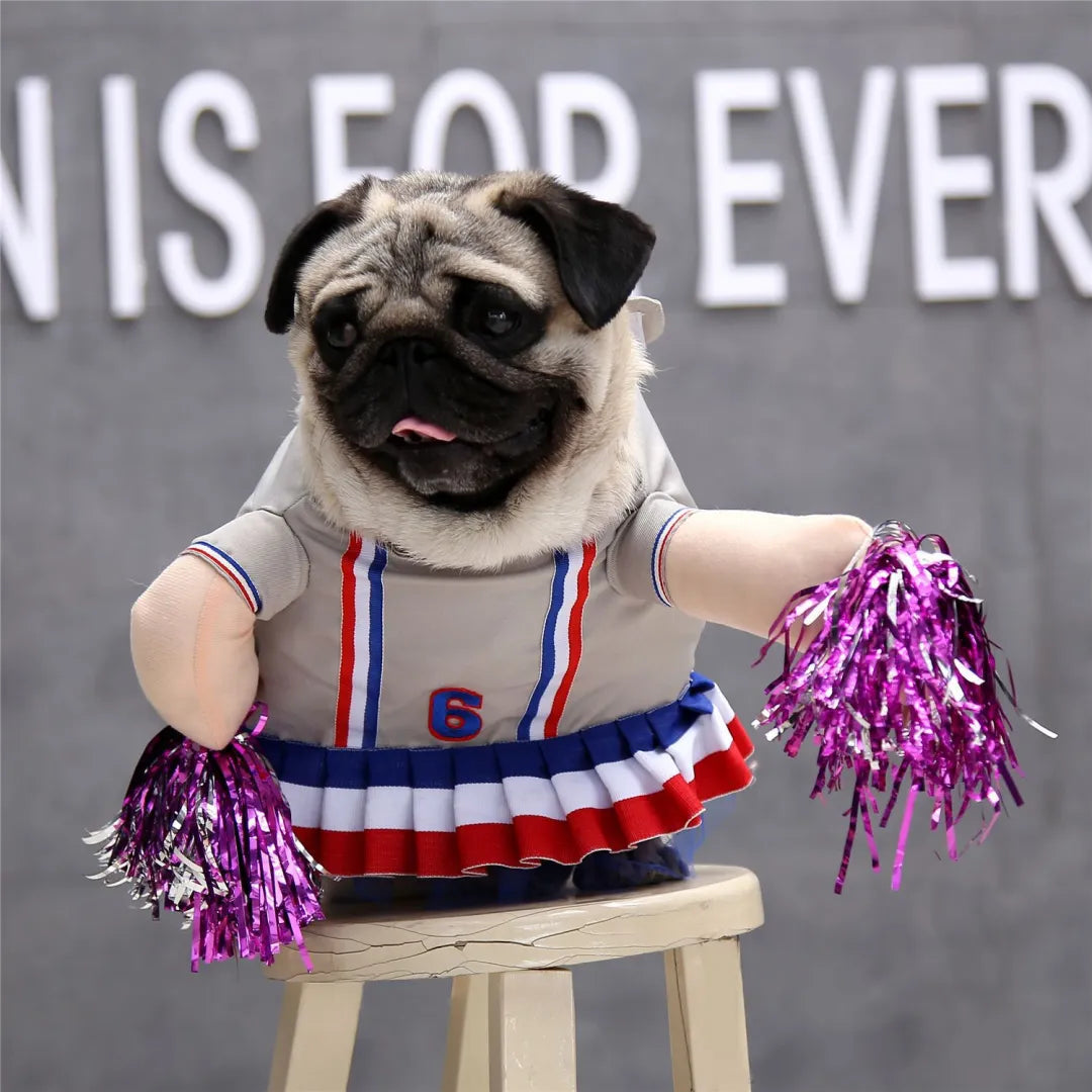 Disfraz de Halloween para perros