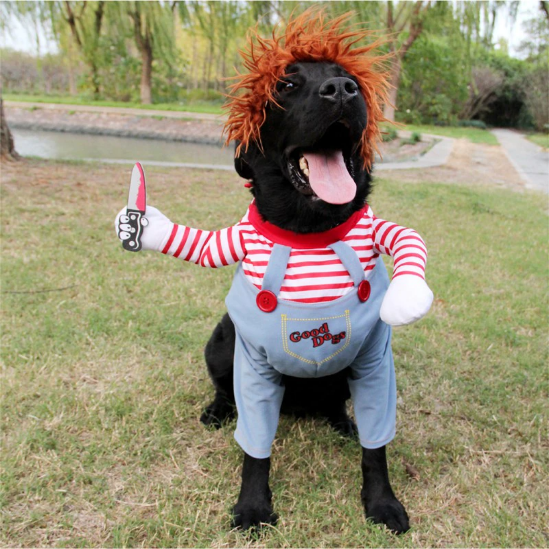 Disfraz de Halloween para perros