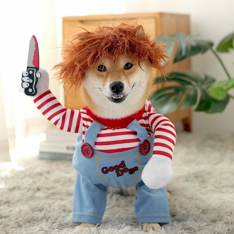 Disfraz de Halloween para perros