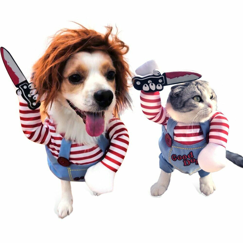 Disfraz de Halloween para perros