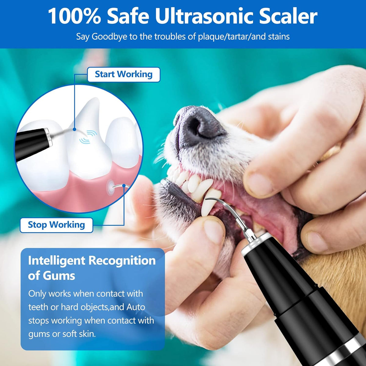 Eliminador de Placa Ultrasónico para Perros y Gatos - Kit de Limpieza Dental para Sarro y Manchas