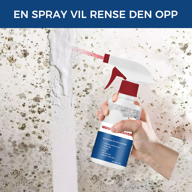 Espuma eficaz para eliminar el moho - Elimina las manchas de moho | De acción rápida