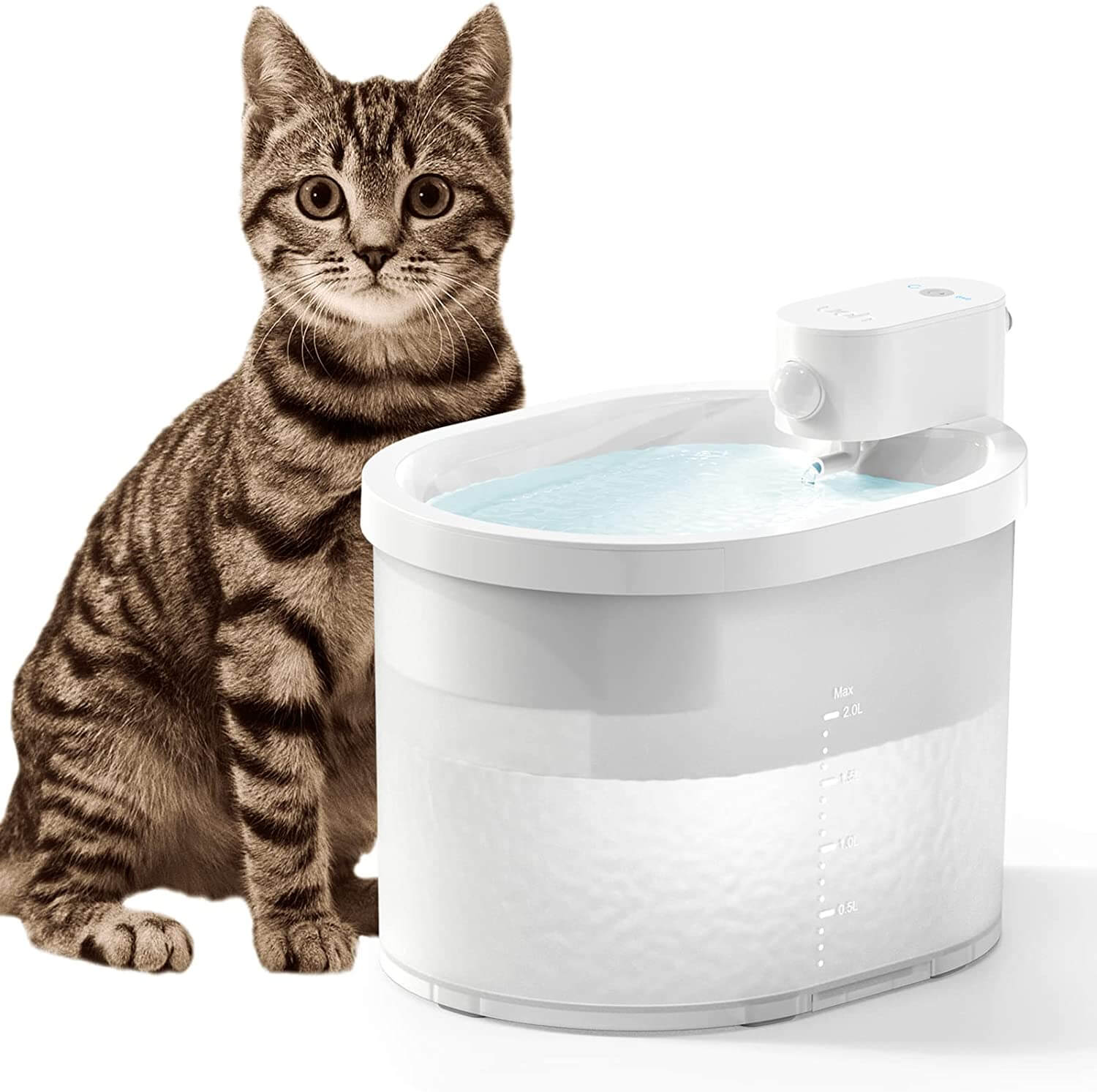 Fuente de agua inteligente para gatos con sensor