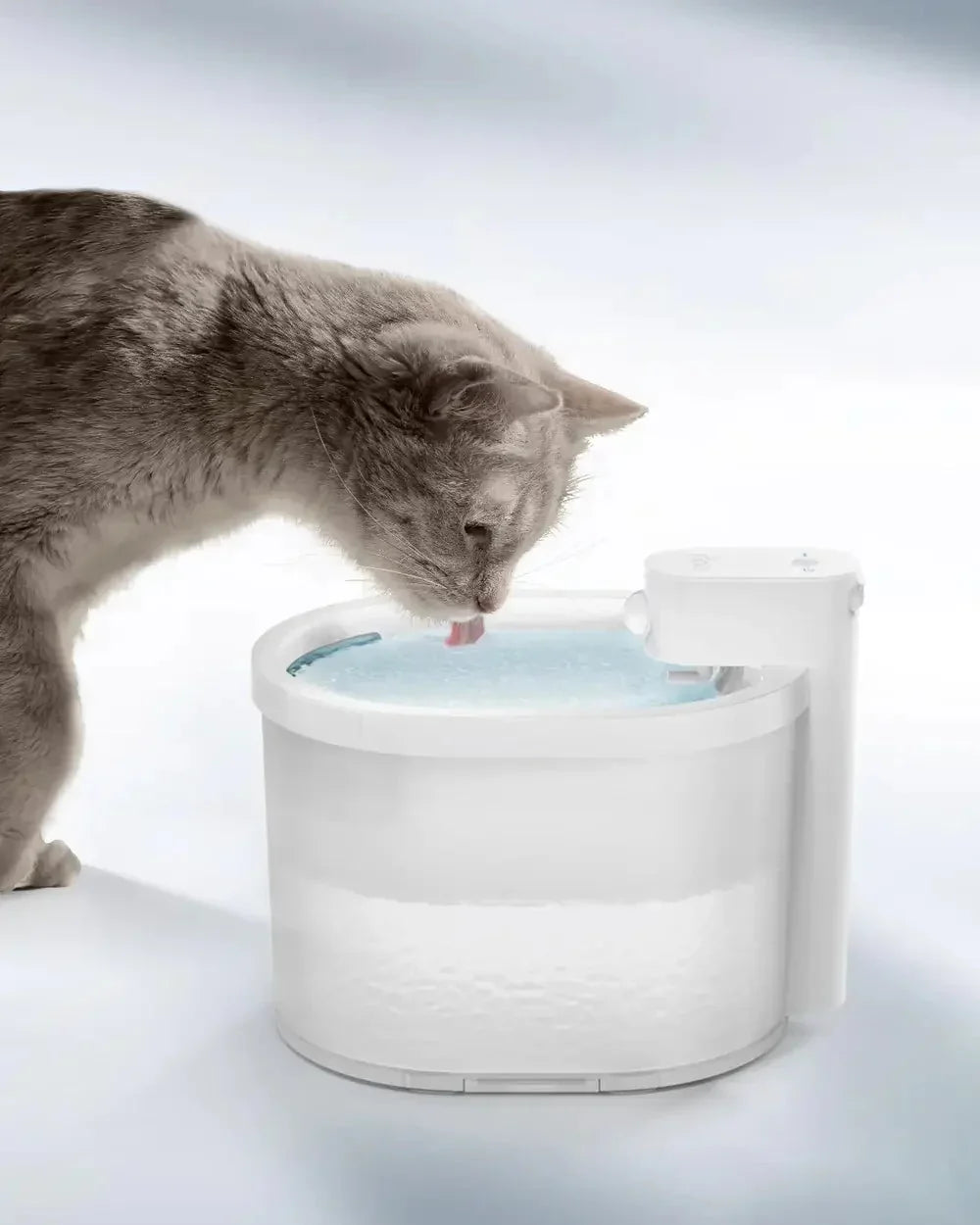 Fuente de agua inteligente para gatos con sensor
