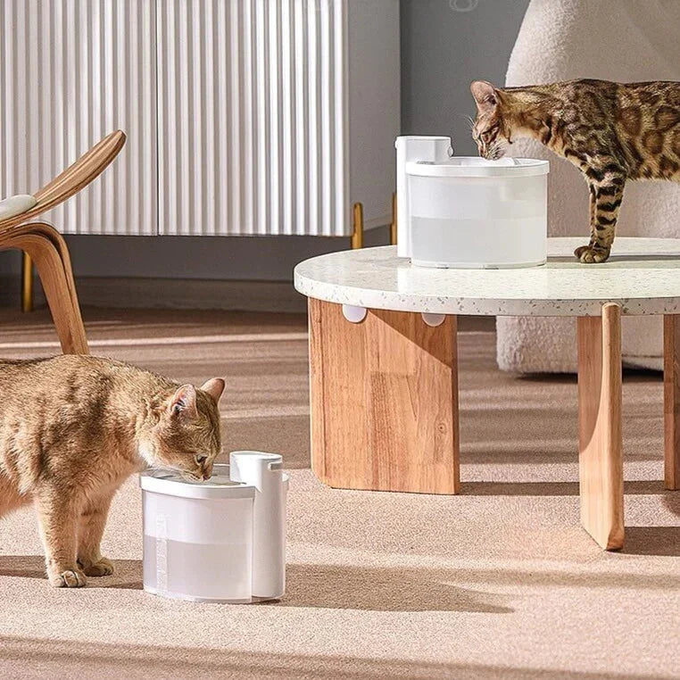Fuente de agua inteligente para gatos con sensor
