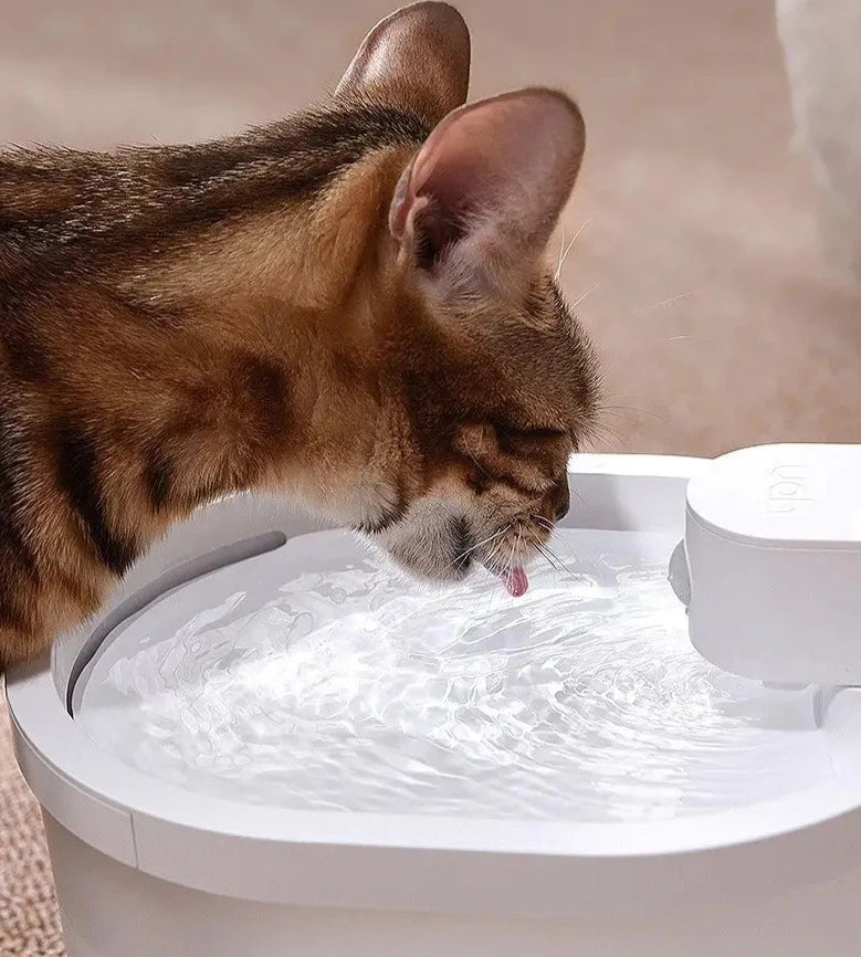 Fuente de agua inteligente para gatos con sensor