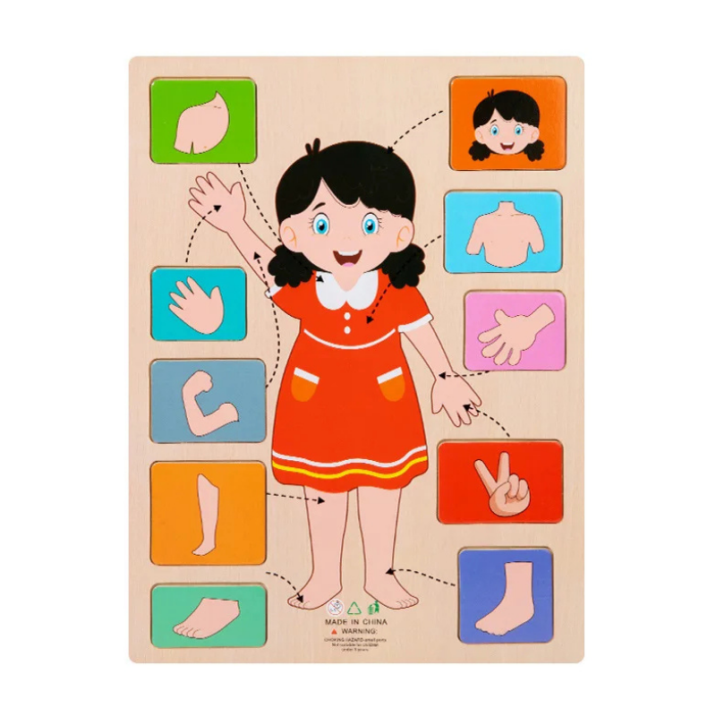 Juguete de rompecabezas educativo infantil del cuerpo humano de madera