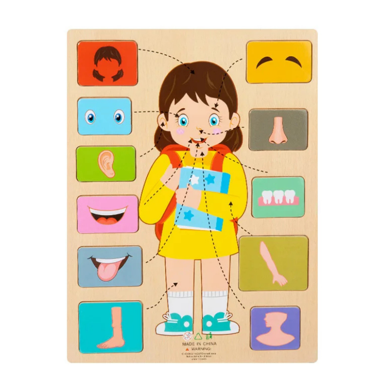 Juguete de rompecabezas educativo infantil del cuerpo humano de madera