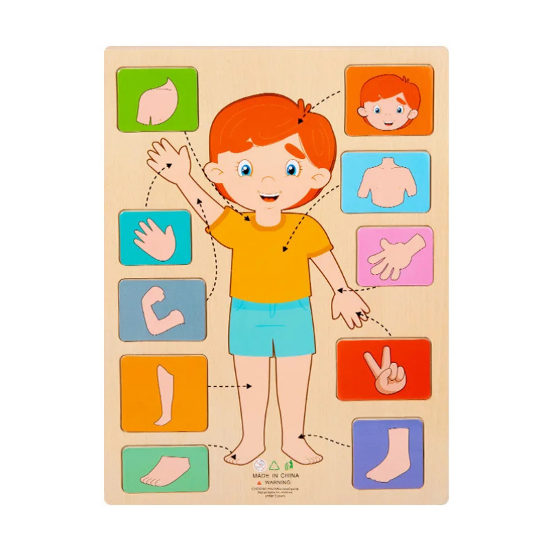 Juguete de rompecabezas educativo infantil del cuerpo humano de madera