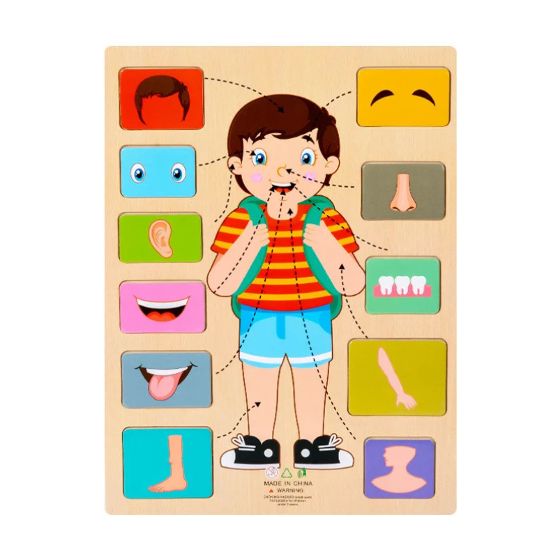 Juguete de rompecabezas educativo infantil del cuerpo humano de madera