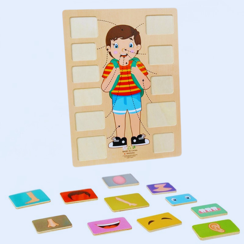 Juguete de rompecabezas educativo infantil del cuerpo humano de madera