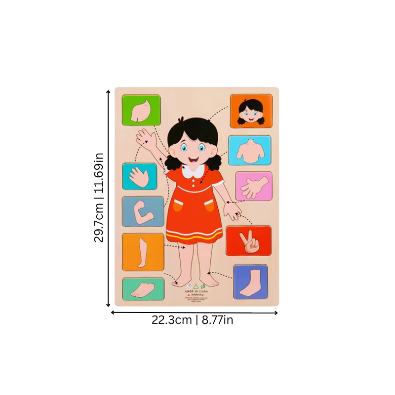 Juguete de rompecabezas educativo infantil del cuerpo humano de madera