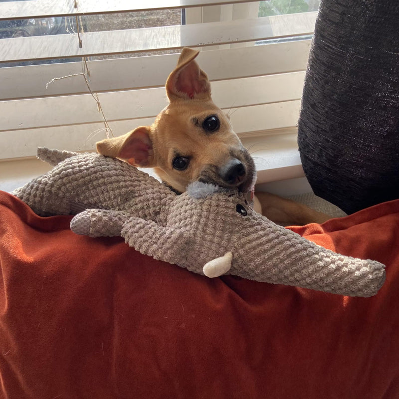 Juguete Ultra Resistente para Perro para Masticación Intensa – Cuerda de Juguete Resistente de Material Seguro para Mascotas, Ideal para Todos los Tamaños